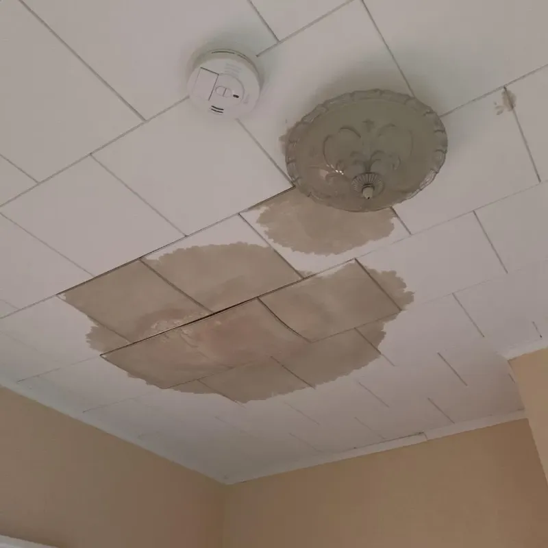 Ceiling Water Damage Repair in Hooker County, NE