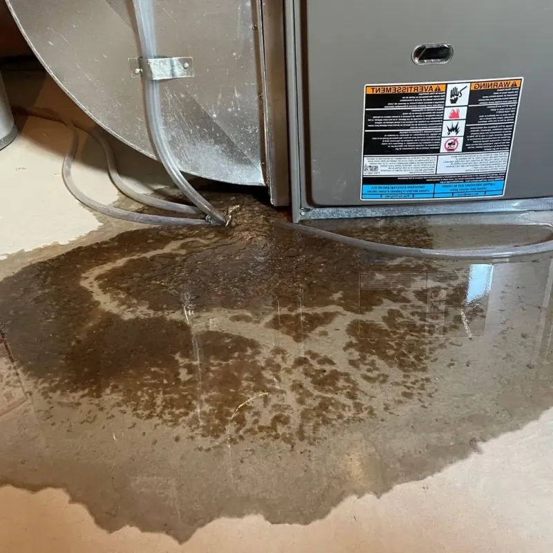 Pipe Burst and Leak Restoration in Hooker County, NE
